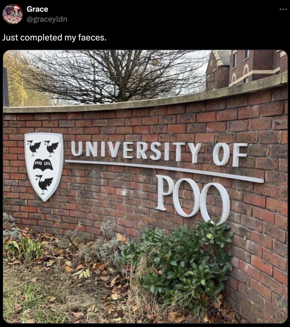 wall - Grace Just completed my faeces. University Of Poo